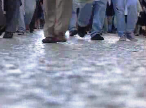 Conclusões dos Censos de 91