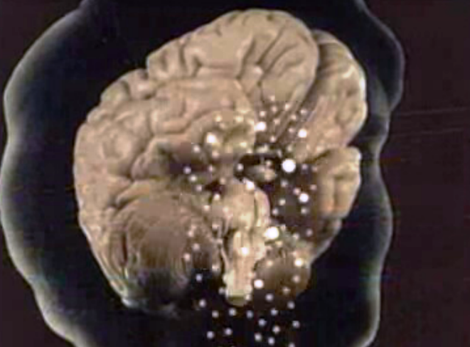 Investigação cientifica