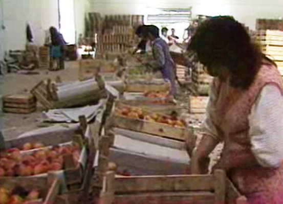 Agricultores exigem reforço da fiscalização