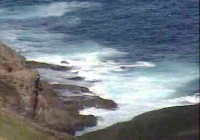 Corpos dão à costas nas Ilhas Desertas