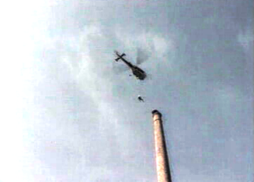 Ninho artificial para cegonha branca