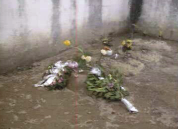 Profanação de sepultura de bebé