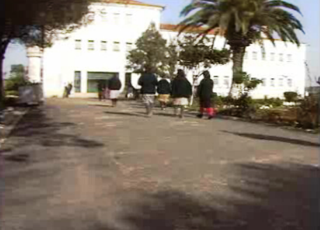 Rubrica Vida Portuguesa