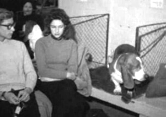 55ª Exposição Canina Internacional na FIL