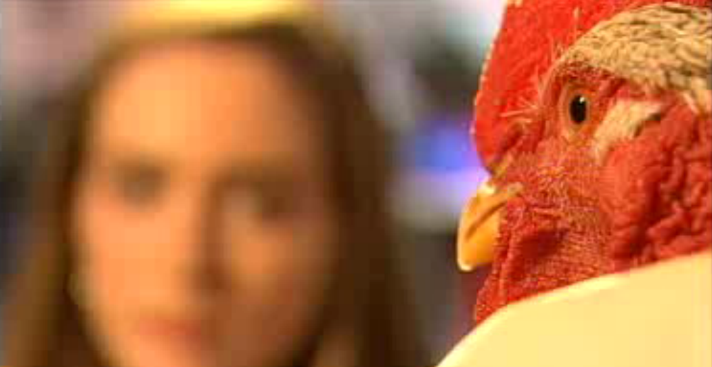 Detective Galo Inácio – Episódio 08