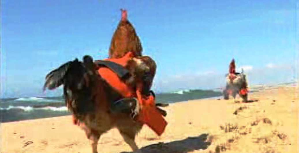 Detective Galo Inácio – Episódio 11