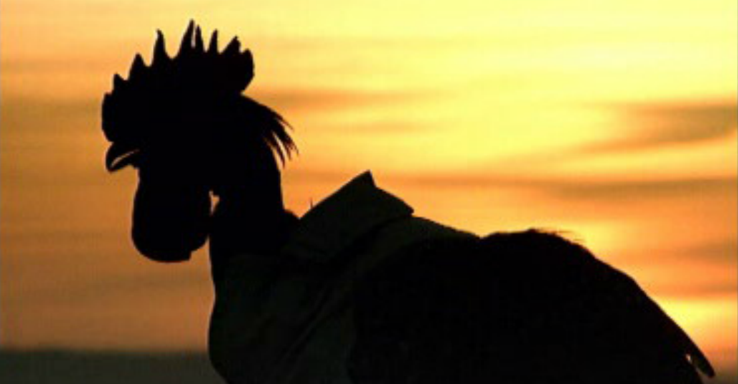 Detective Galo Inácio – Episódio 13