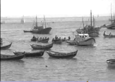 8º Concurso para Amadores de Pesca à Lula em Cascais