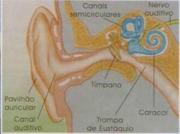 Surdos de Música – Parte II
