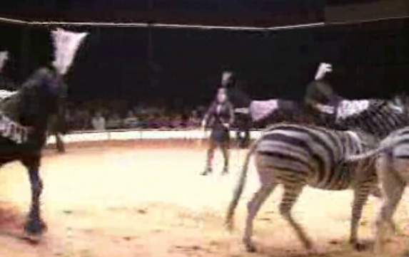 Festa de Natal da Casa do Pessoal da RTP