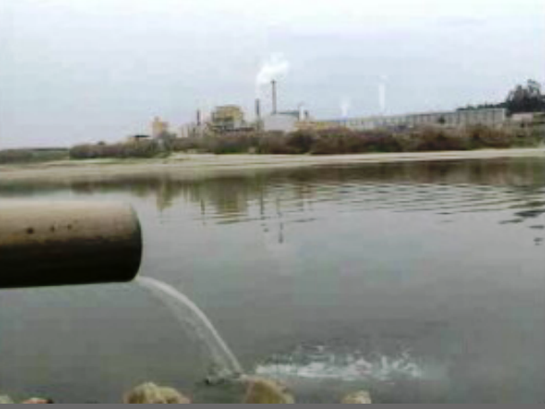 Poluição no rio Zêzere