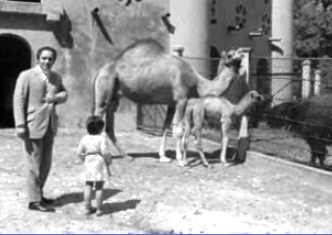 Rui Romano e família no Jardim Zoológico de Lisboa
