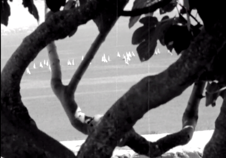 Regata do Campeonato Nacional de Snipes em Lagos