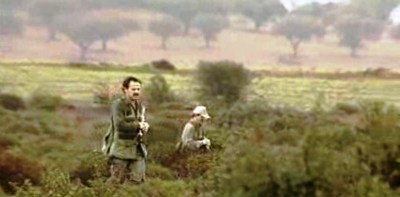 Zonas de Caça Associativa