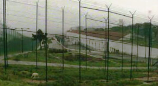Protestos na prisão de Caxias