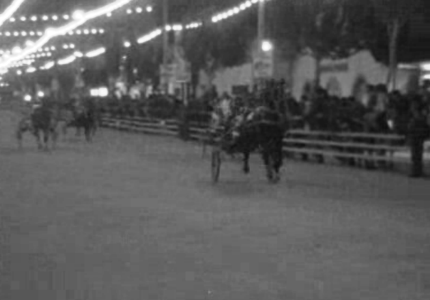 Provas Hípicas em Santarém