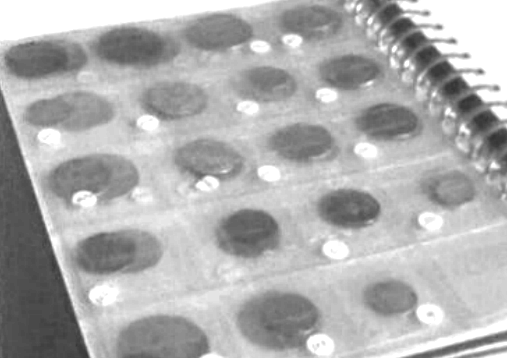 I Feira Internacional da Moeda