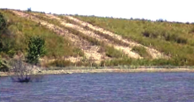 Ordenamento Cinegético