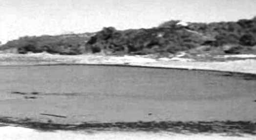 Crude nas praias de Santa Rita e da Lagoa de Melides