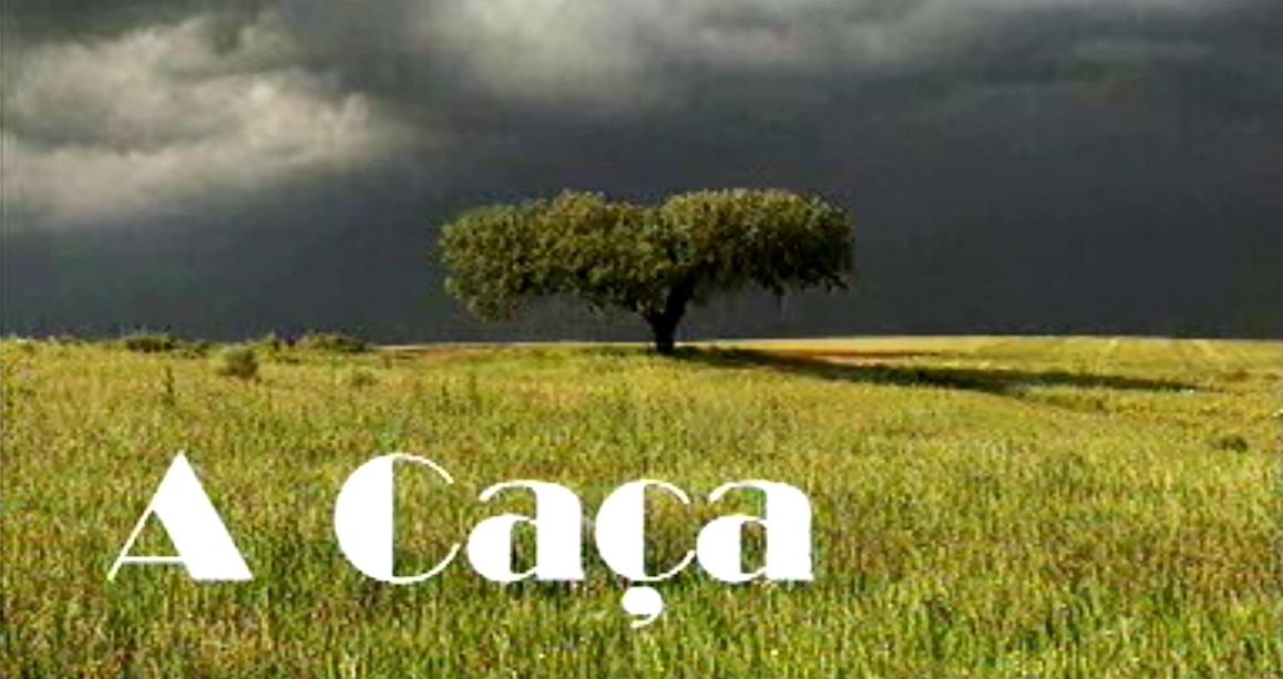 A Caça e a Conservação da Fauna