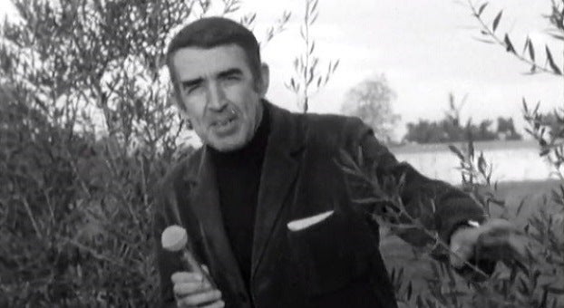 Inverno em Ponte de Lima e o Cultivo de Oliveiras em Muge