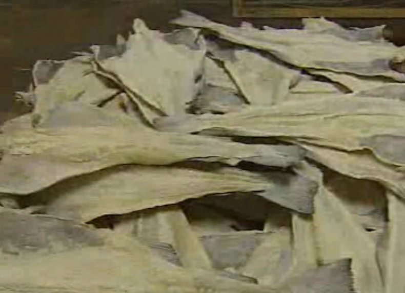 Preparação do Bacalhau