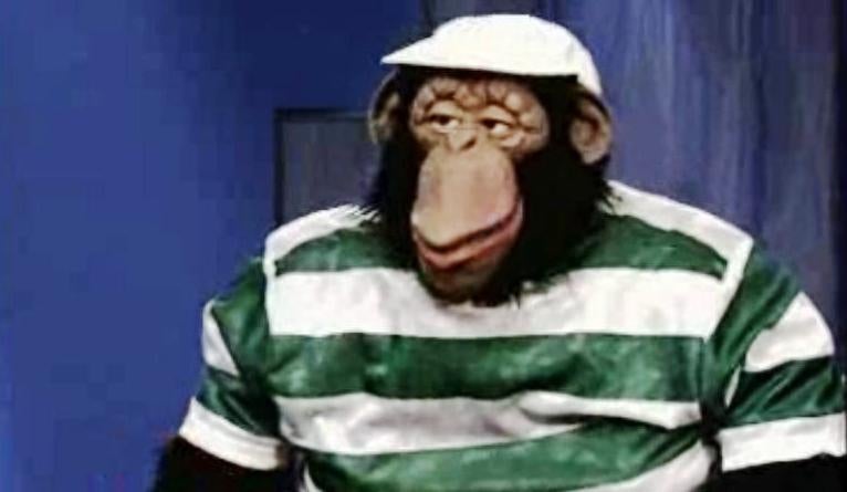 Sá Pintas Terrorista