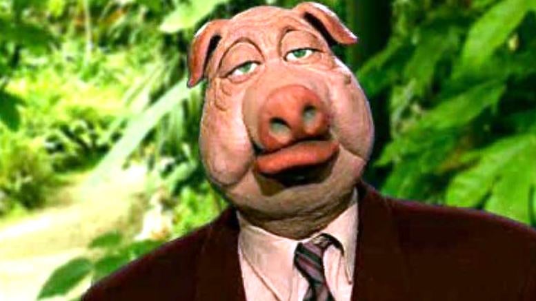 O Abate das Vacas Loucas