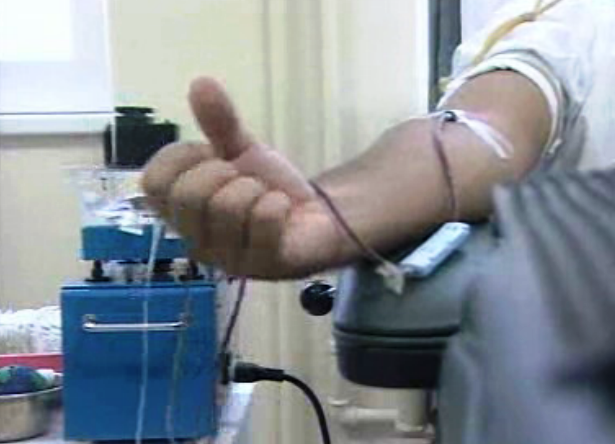 Reações ao possível embargo de sangue português nos EUA