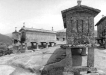 Antevisão do Dia Mundial do Ambiente