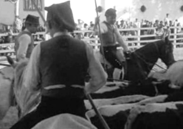 Feira Nacional de Agricultura