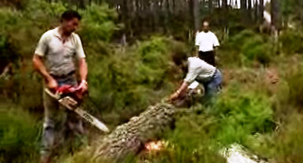 Florestas Portuguesas