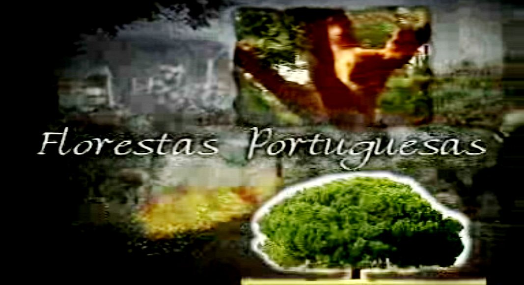 Matas, Bosques e Brenhas : Florestas Portuguesas