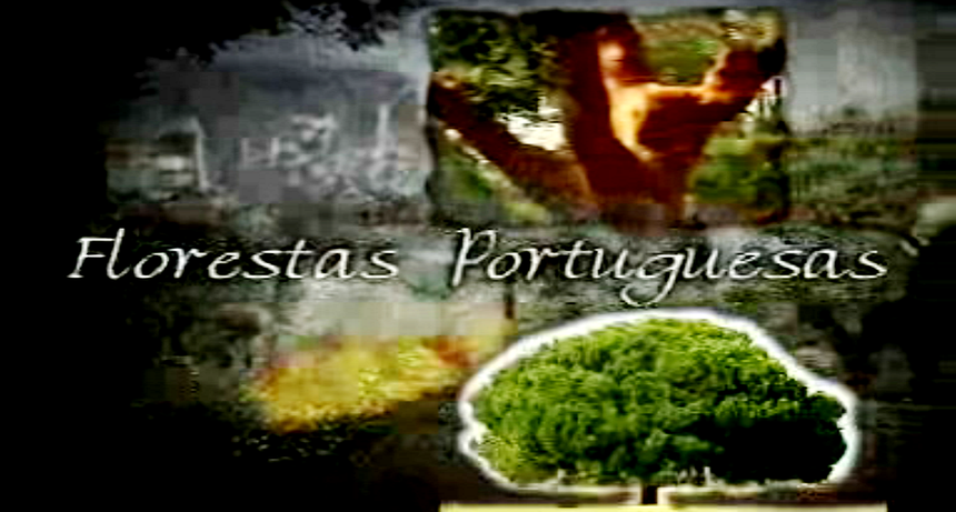 Matas, Bosques e Brenhas : Florestas Portuguesas