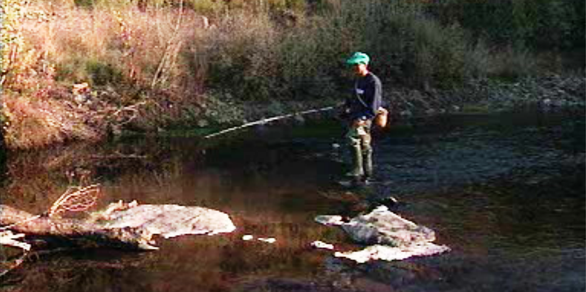 Bosques, Ribeirinhos e Matagais