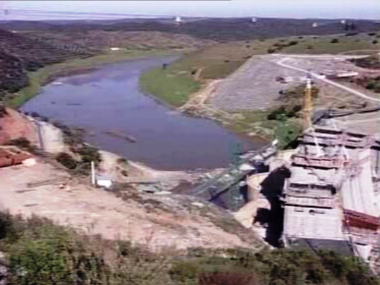 Um milhão de árvores a abater no Alqueva