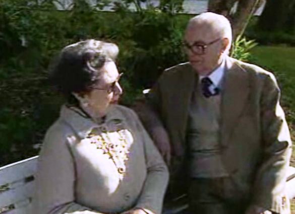 Crónica: O amor é lindo !