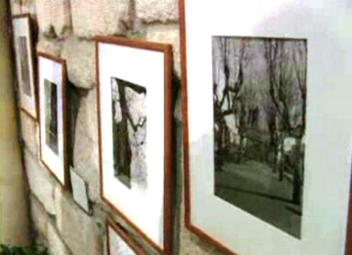 Exposição “O Perdão das Árvores”