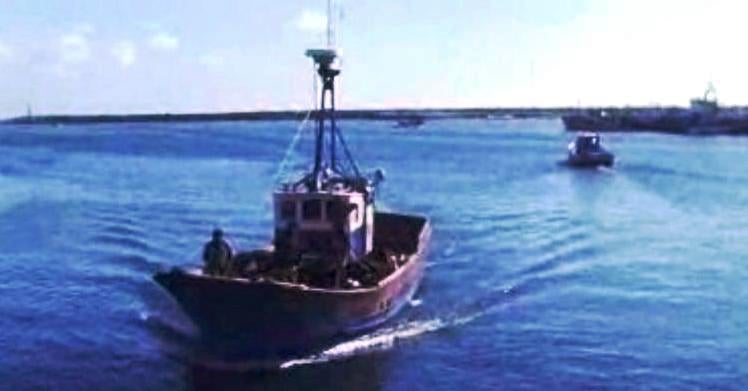 Pescadores de Peniche