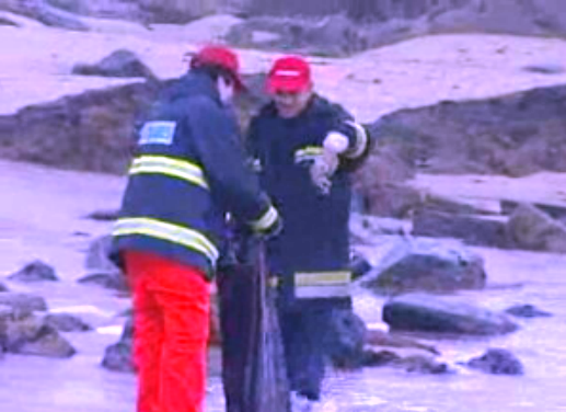 Polvos mortos dão à costa