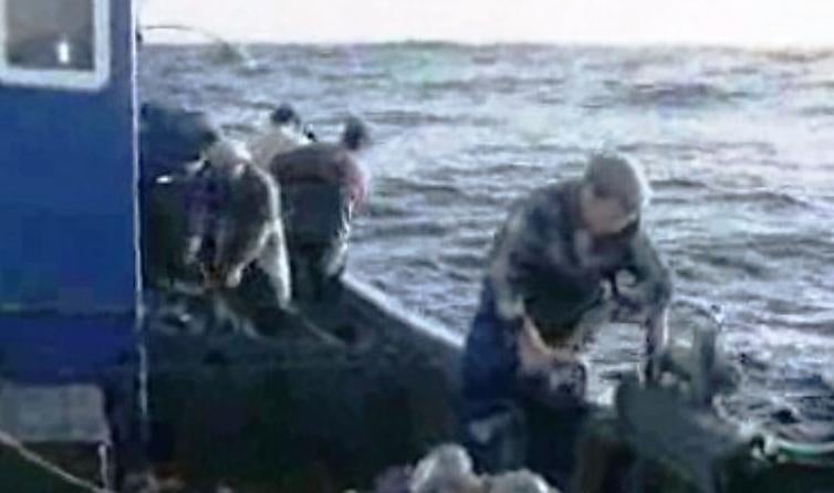 Pescadores de Sesimbra