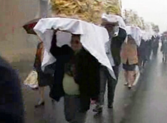 Festa de São Sebastião da Lardosa