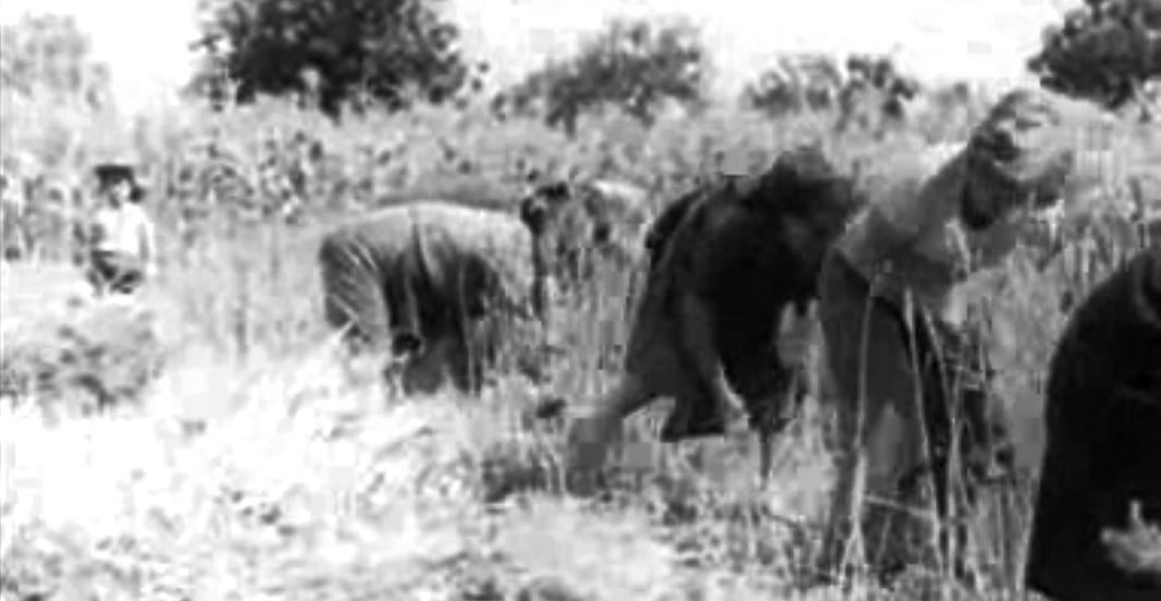 Barcouço: Dois Vale Mais que Um