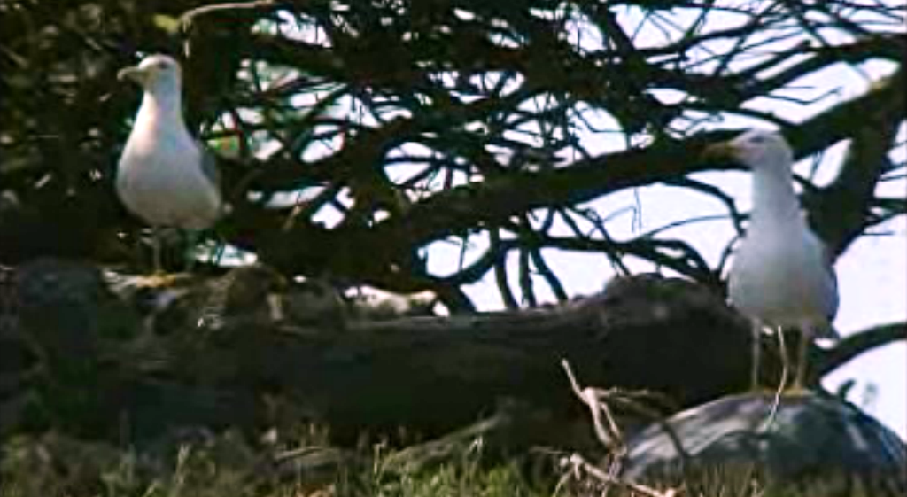 Ilhéus Refúgios de Vida