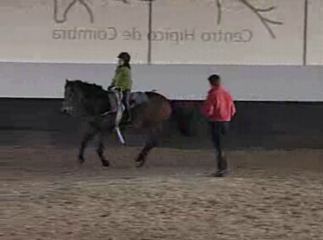 Aulas de Iniciação no Centro Hípico de Coimbra