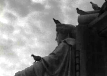 Crianças distribuem milho aos pombos