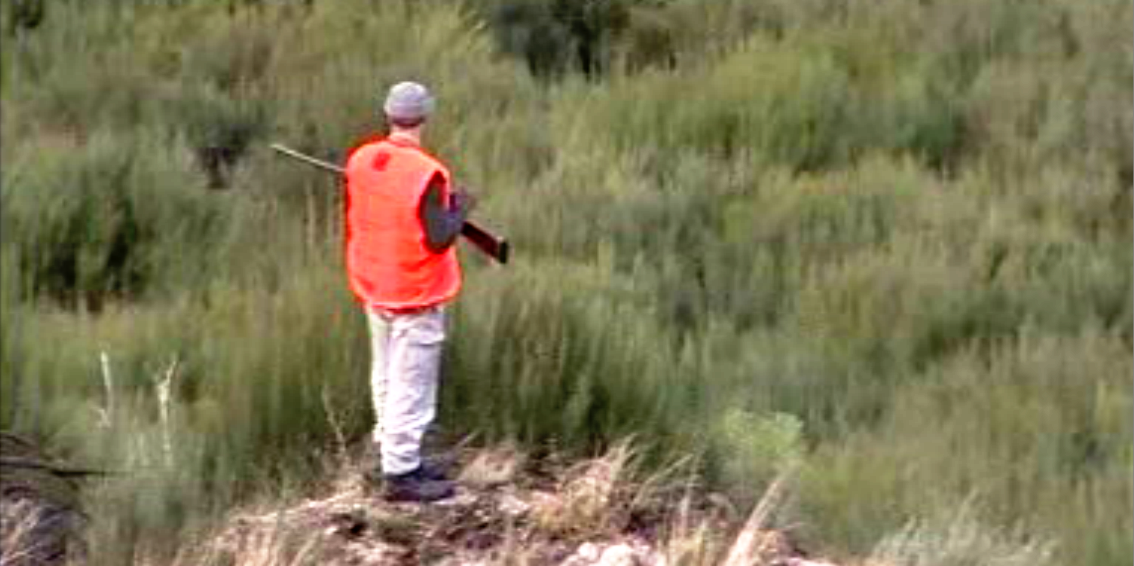 Montaria ao Javali I