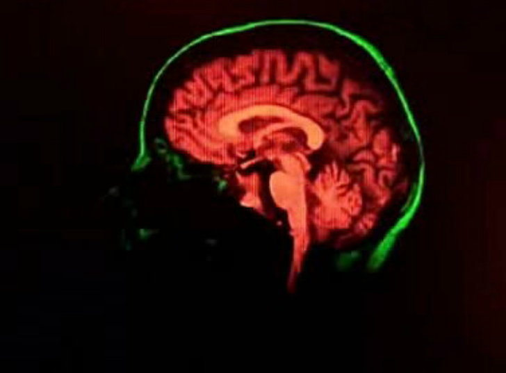 Simpósio “Aquém e Além do Cérebro”