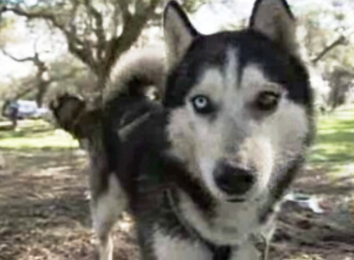 Crónica: Pouca neve, muita terra