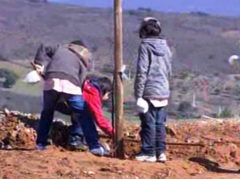 Dia da Árvore em Bragança